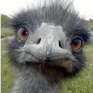 Meet your Posher, Maritza